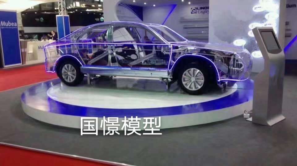 商洛透明车模型